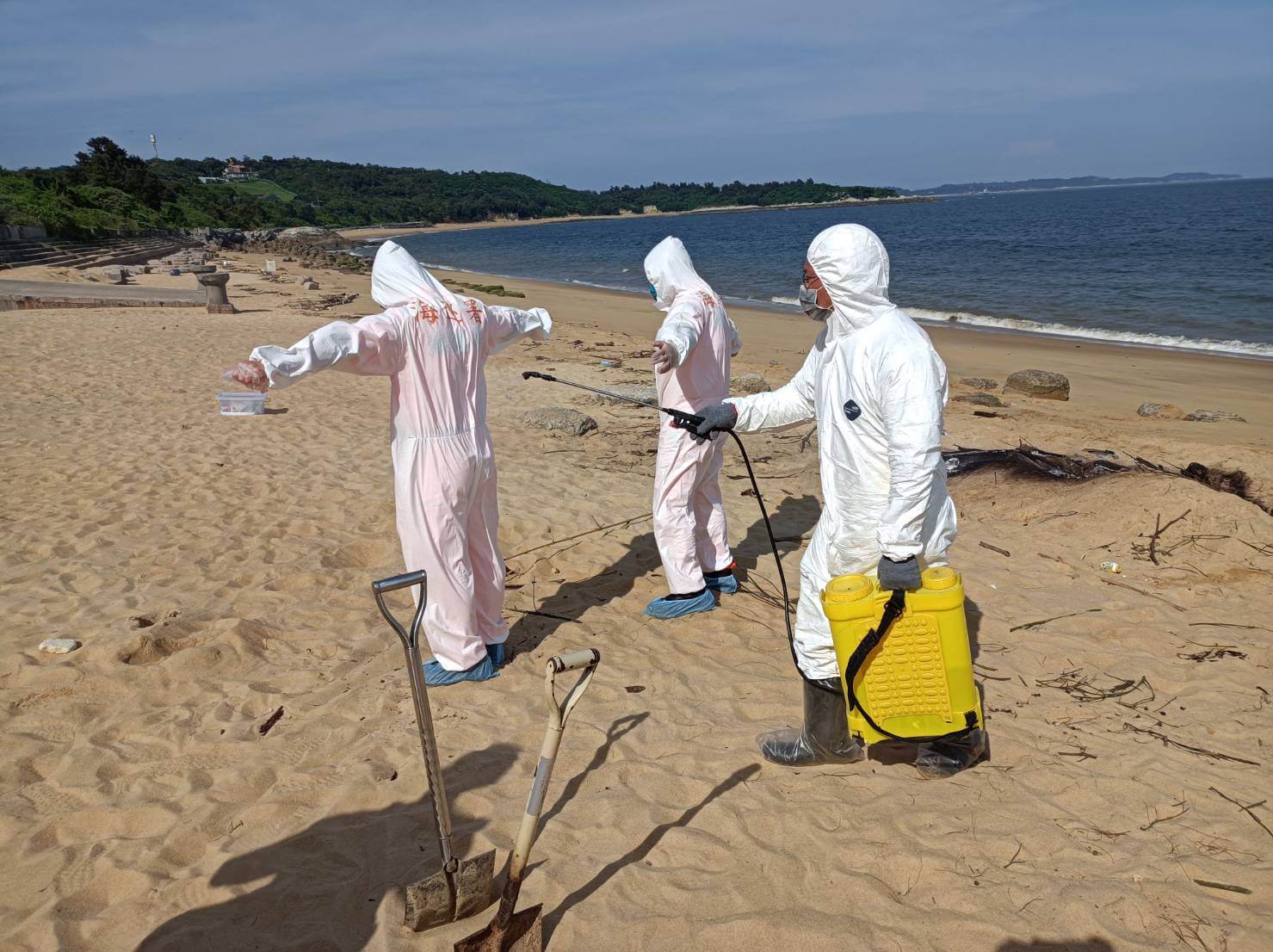 金門地區再現海漂豬屍，海巡人員防堵應處