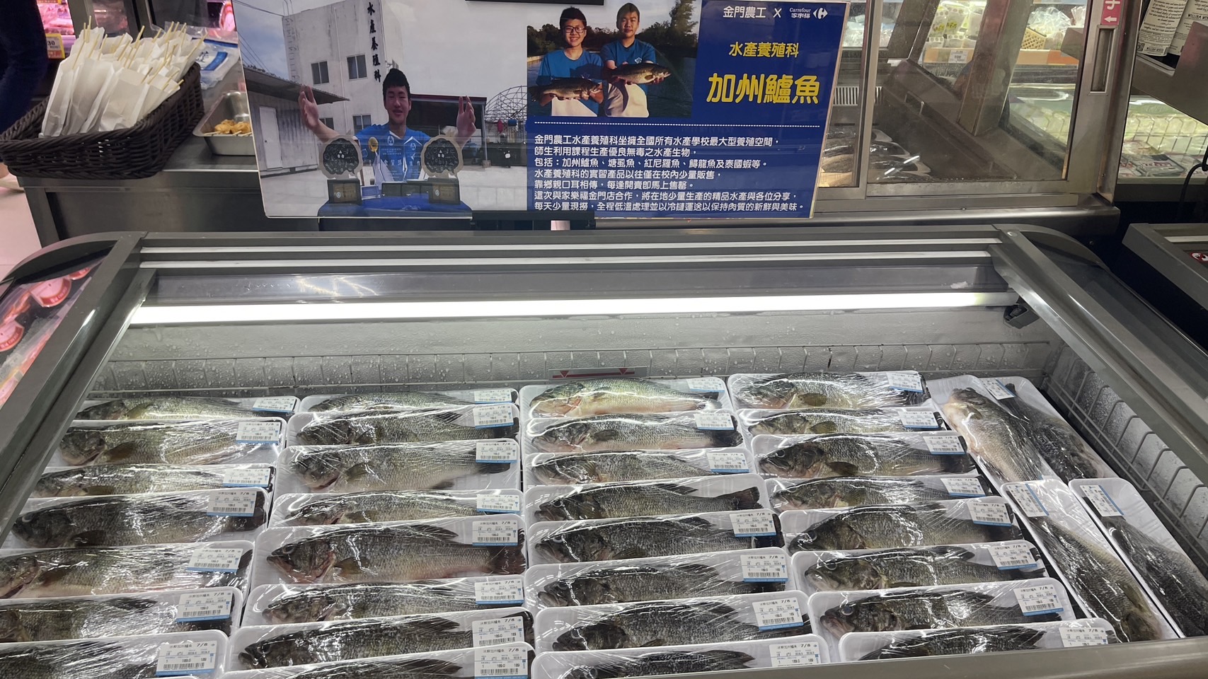 金門農工學生養魚一條龍....金門尚青