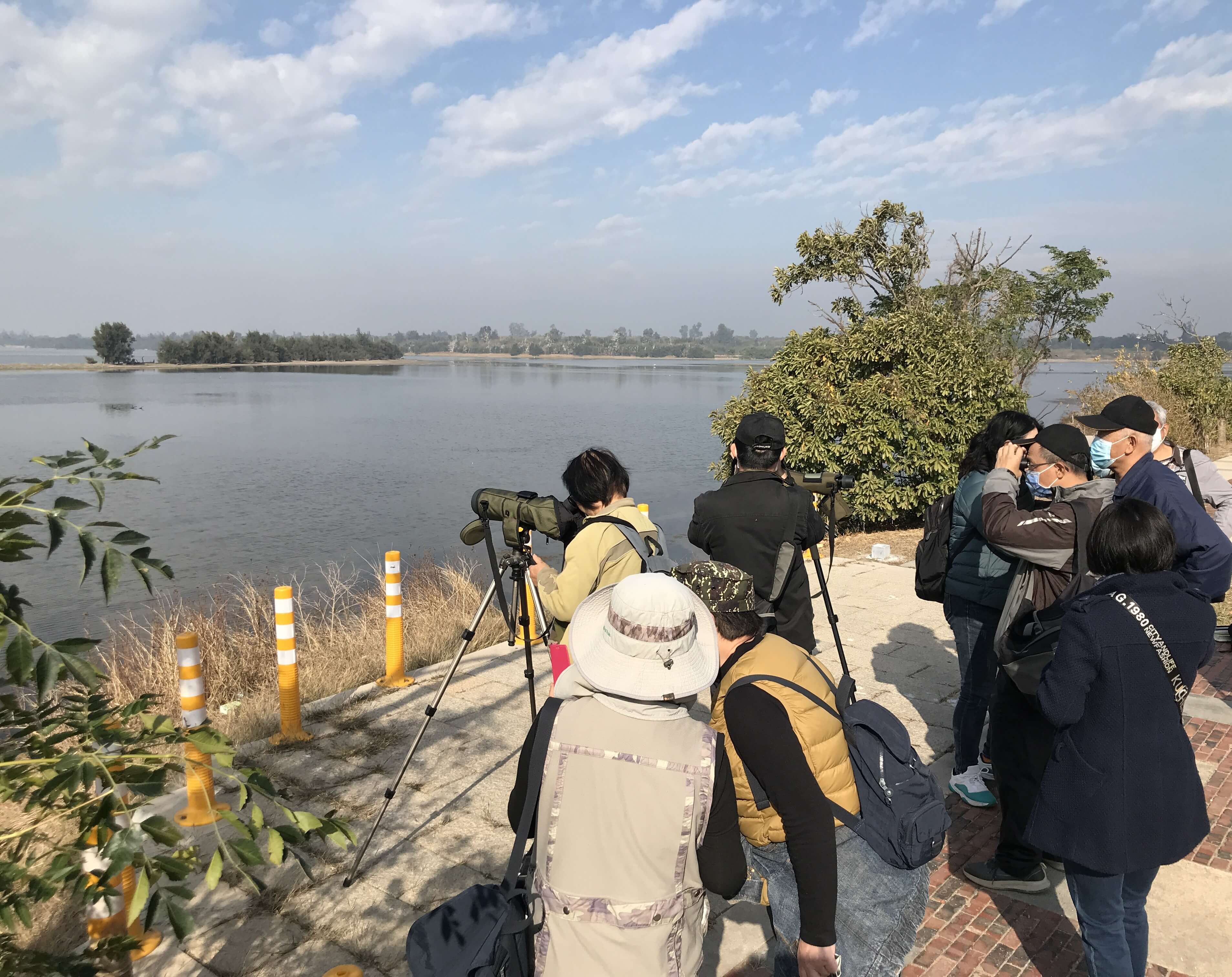 黑面琵鷺與白琵鷺金門慈湖現蹤   金鳥會教鳥友辨識